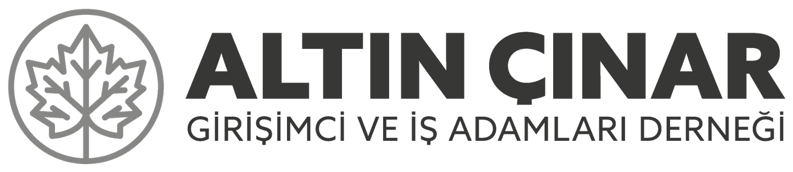 Altın Çınar